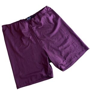Windsor Burgundy Biker Shorts Size: Large